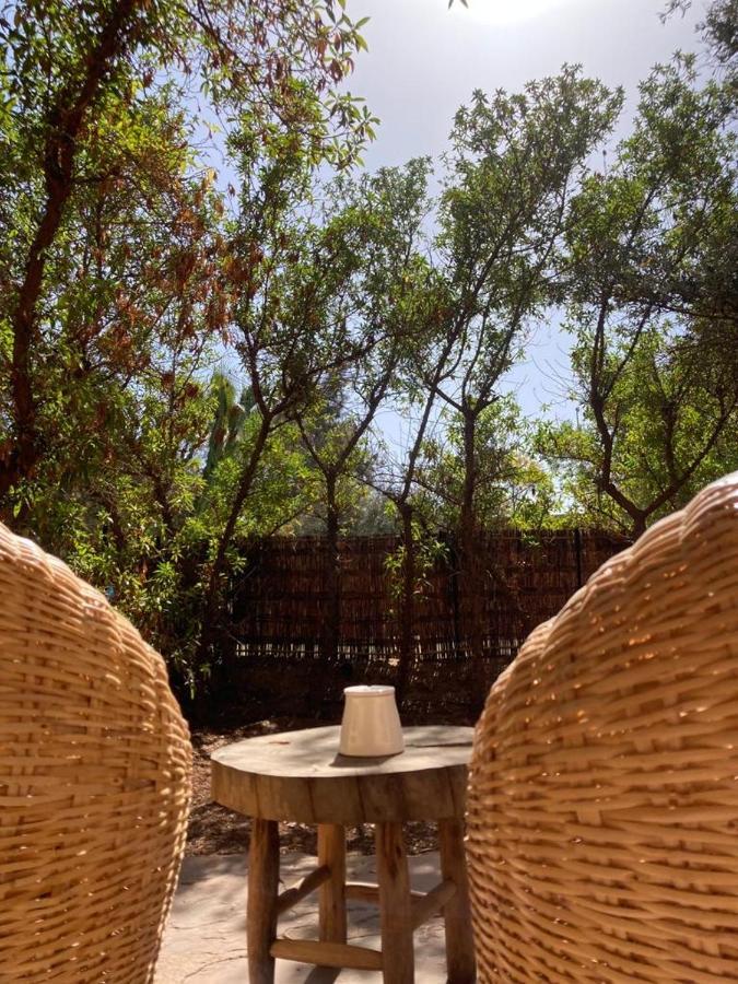 Manzil La Tortue Bed and Breakfast Douar Caïd Layadi Buitenkant foto