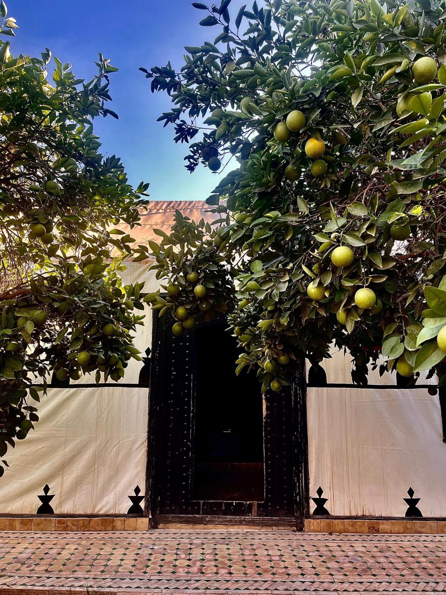 Manzil La Tortue Bed and Breakfast Douar Caïd Layadi Buitenkant foto