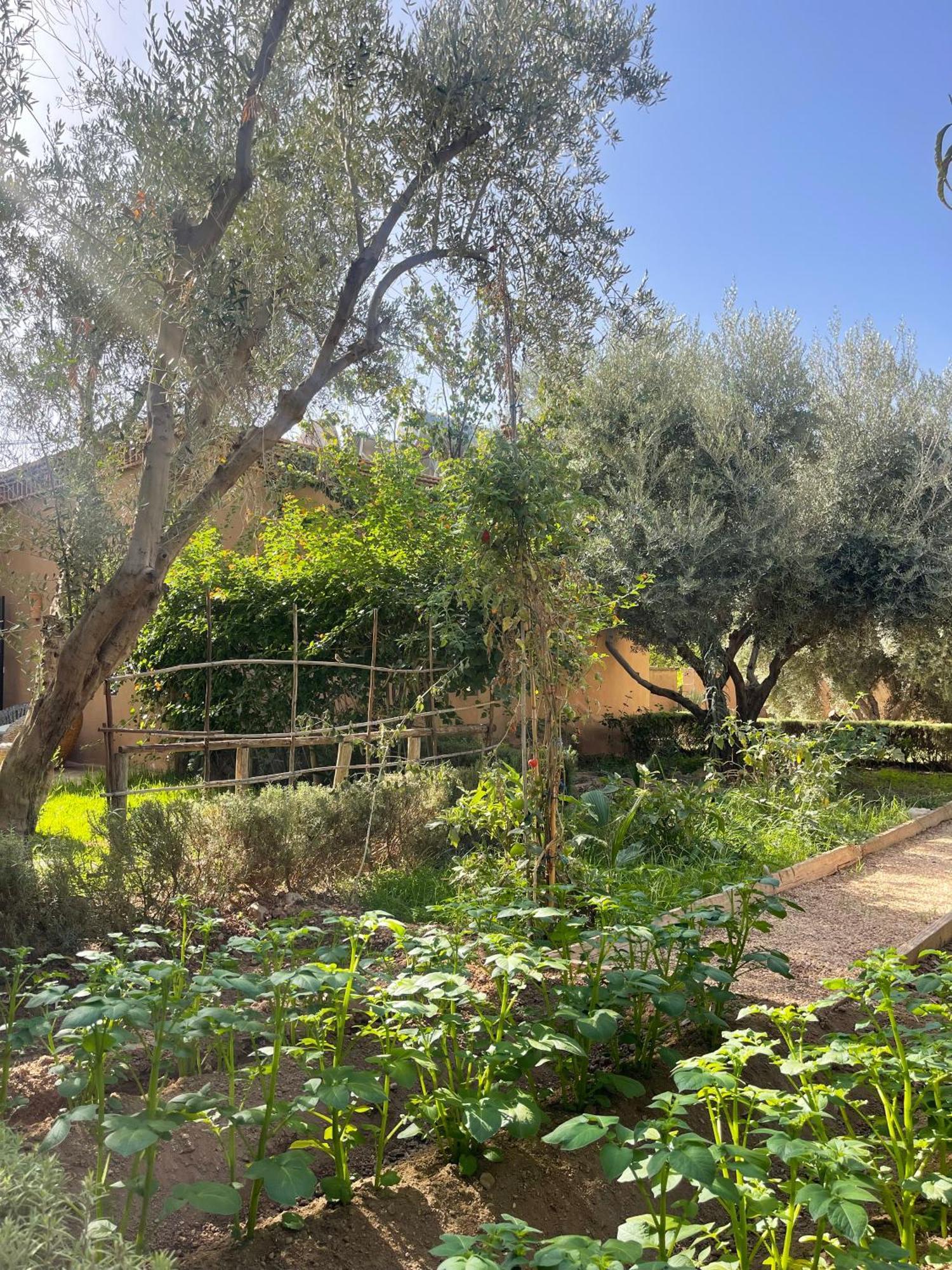 Manzil La Tortue Bed and Breakfast Douar Caïd Layadi Buitenkant foto