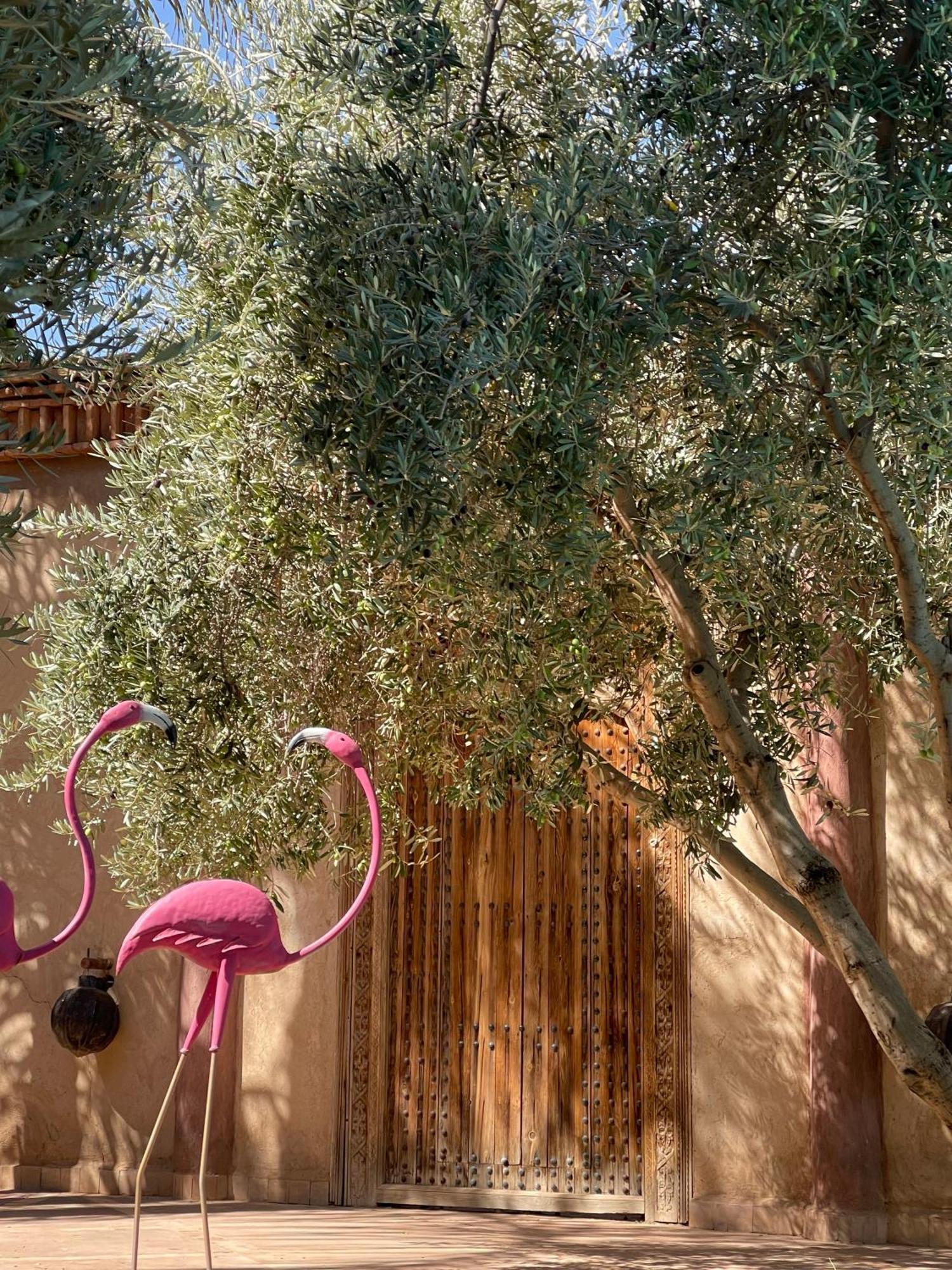 Manzil La Tortue Bed and Breakfast Douar Caïd Layadi Buitenkant foto