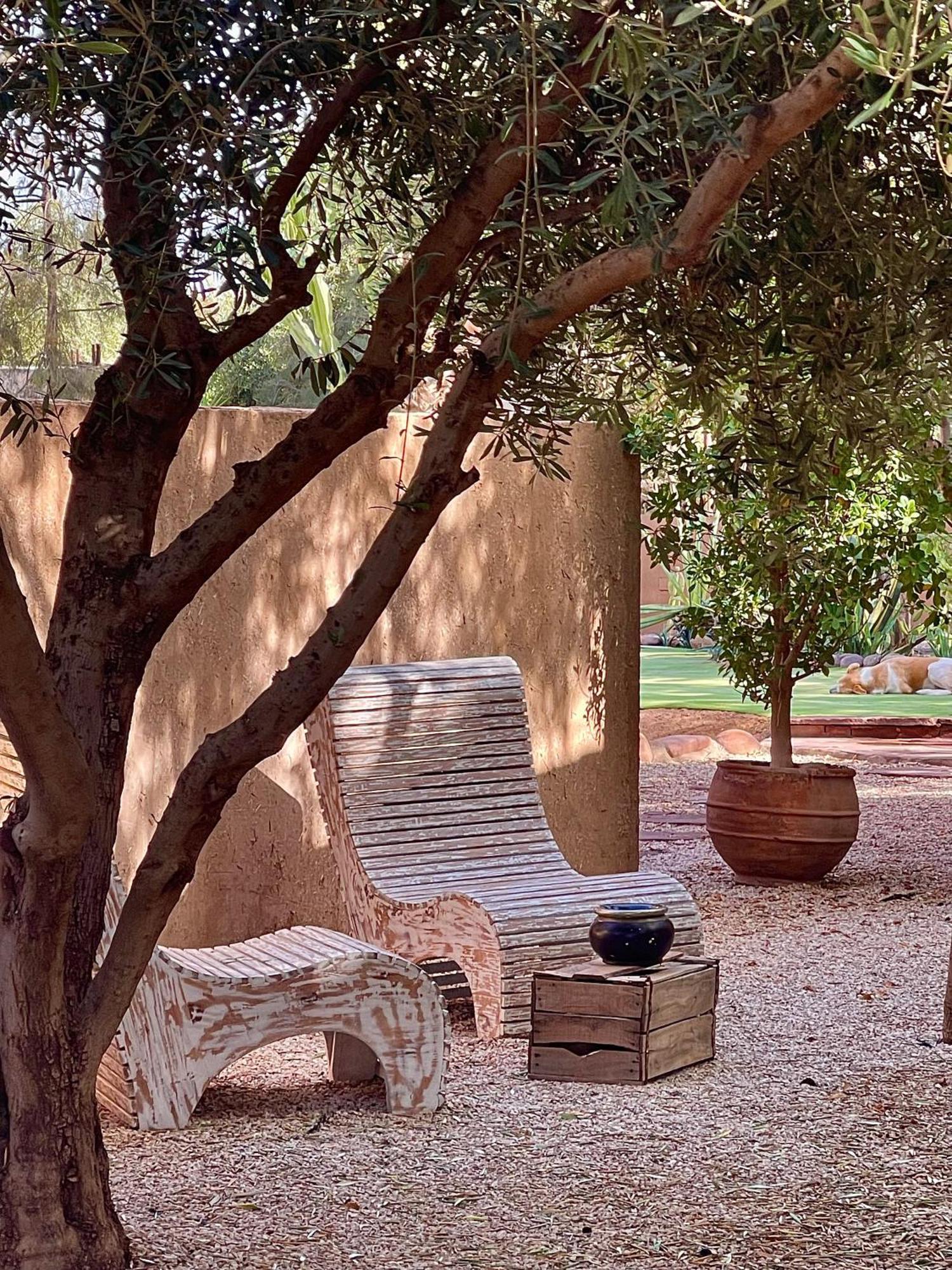 Manzil La Tortue Bed and Breakfast Douar Caïd Layadi Buitenkant foto