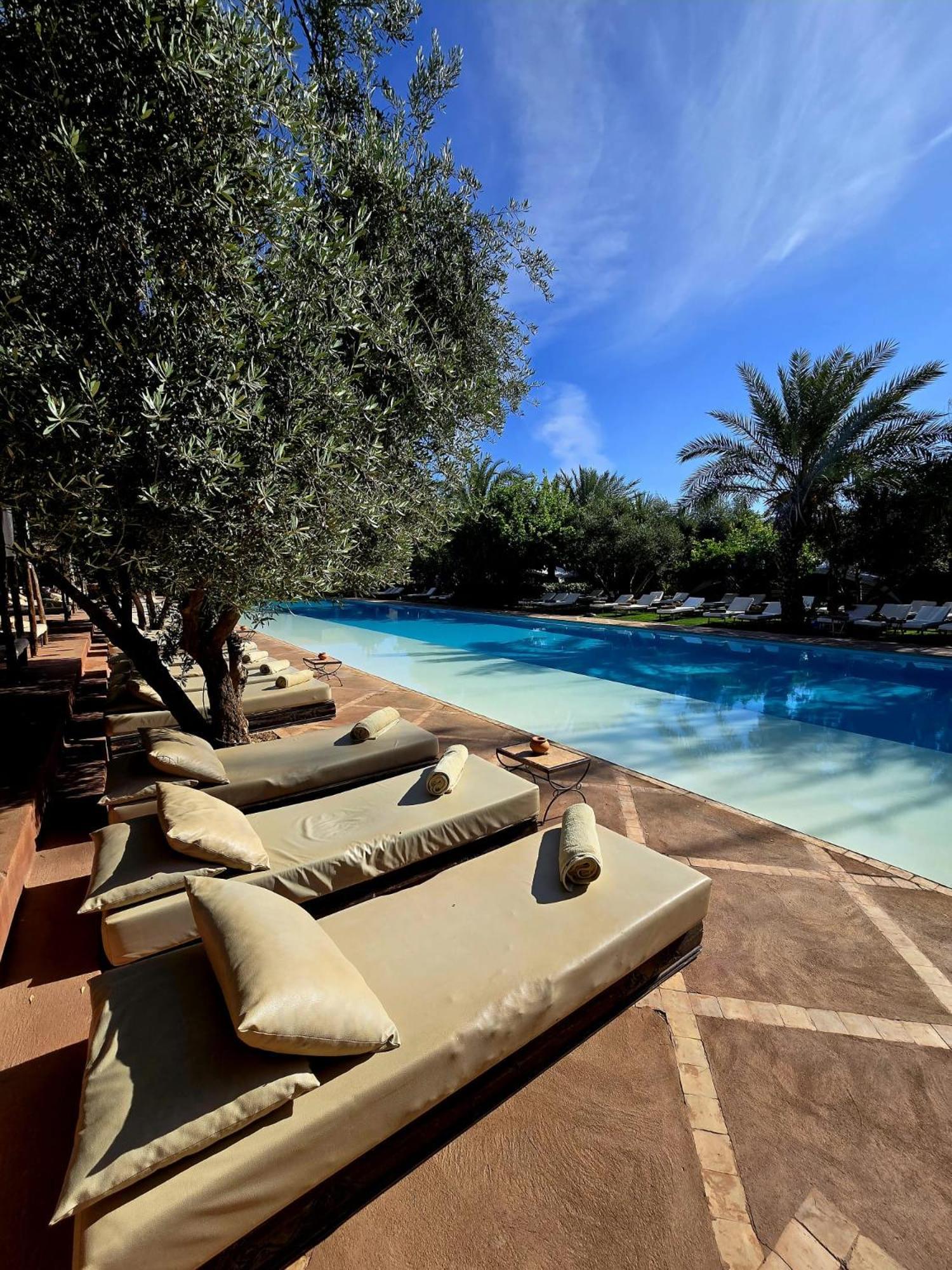 Manzil La Tortue Bed and Breakfast Douar Caïd Layadi Buitenkant foto